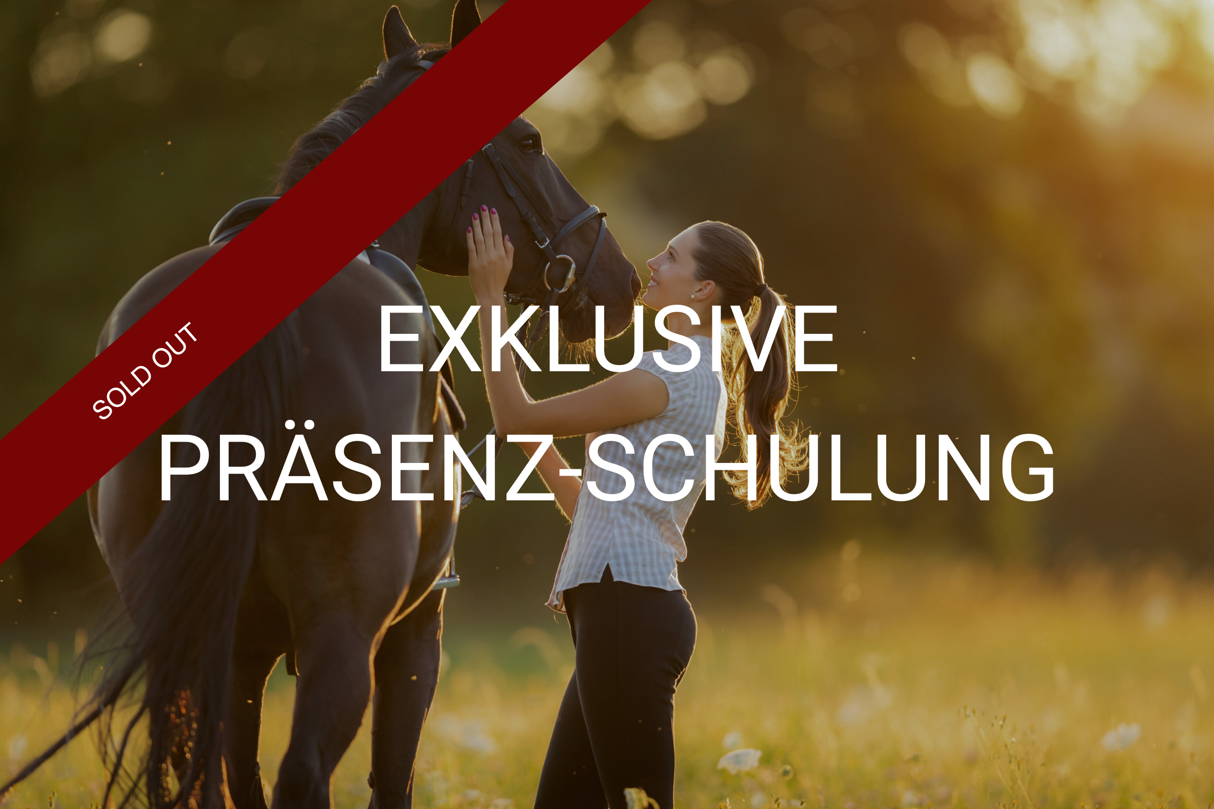 Exklusiv-Schulung_pferd_sold out-Mobile